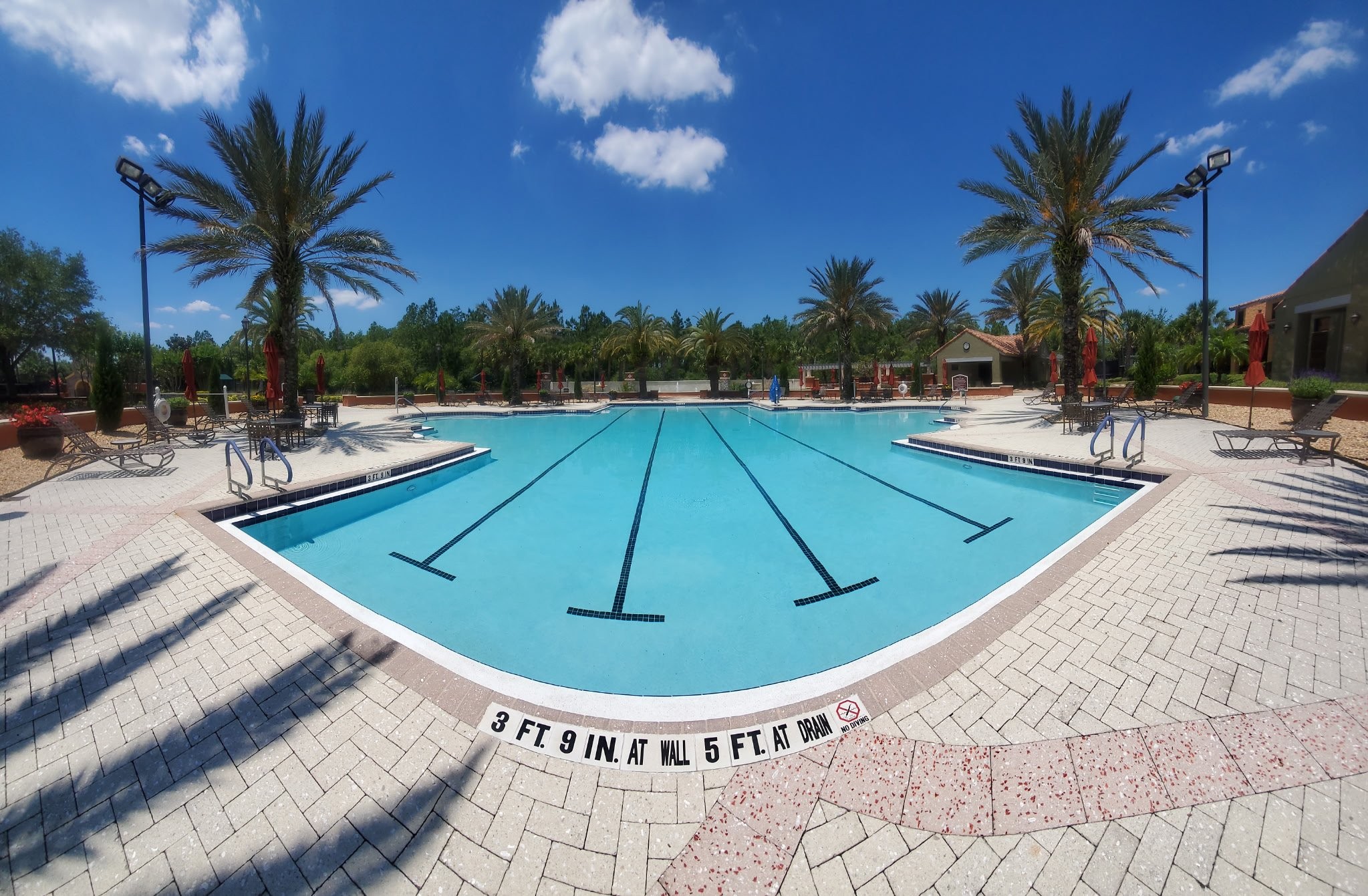 Large HOA community pool with swim lanes, crystal clear water and palm-lined deck